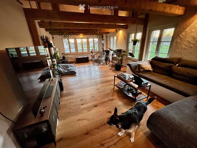 Studio mieten in Gampelen, Bern