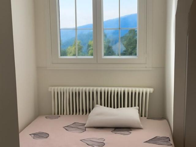 Studio mieten in La Tour-de-Peilz, Waadt