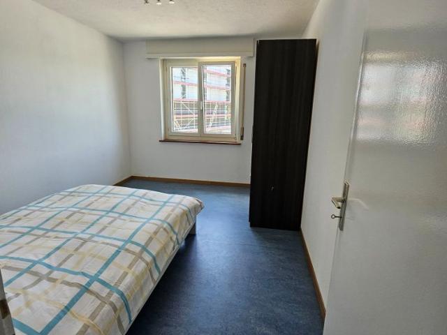 Studio mieten in Schlieren, Zürich