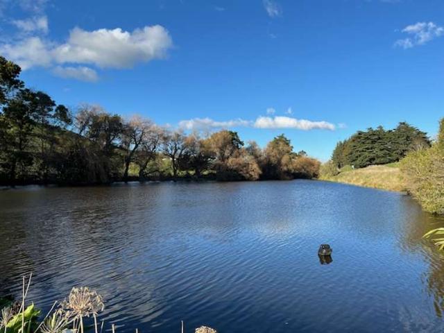 Property for sale in Tararua District