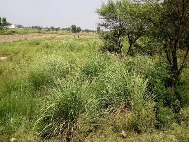 Land for sale in Sialkot, Islamabad Capital Territory