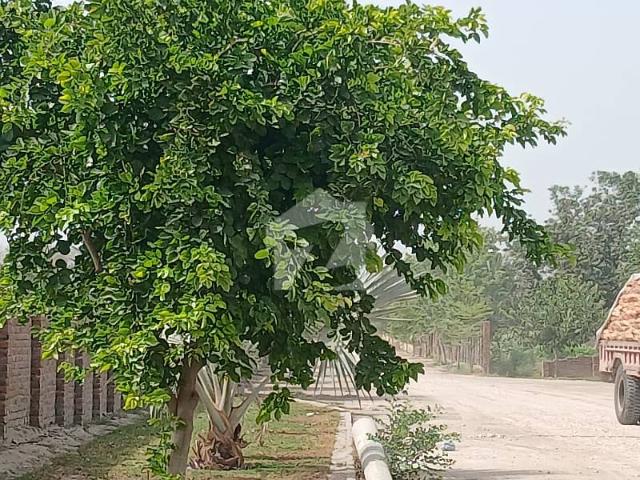 Property for sale in Rahim Yar Khan, Islamabad Capital Territory
