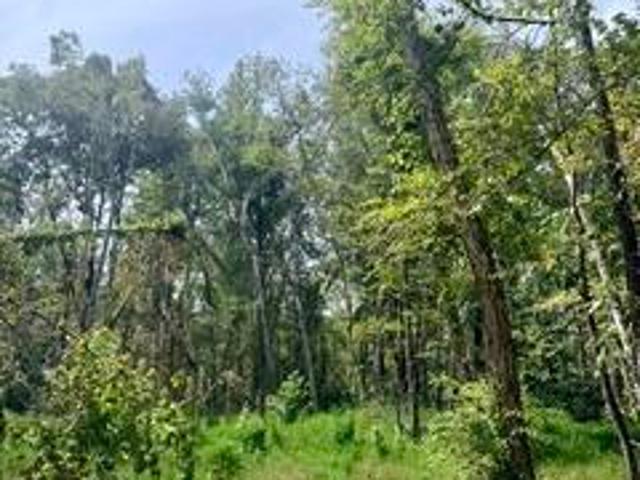 Land for sale in Como, Panola County