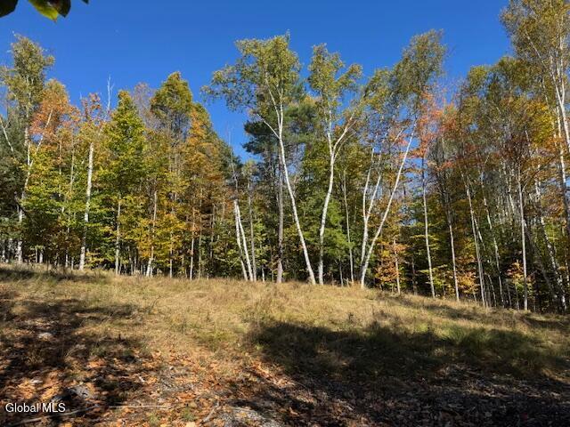 Land for sale in Bakers Mills, New York