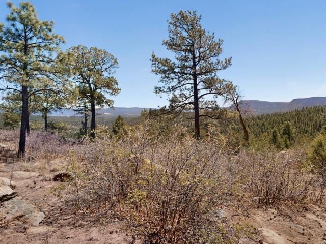 Land for sale in Glorieta, New Mexico