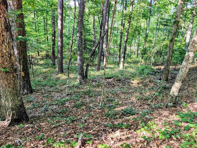 Land for sale in Ark