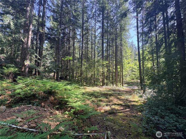 Land for sale in Hoodsport, Washington