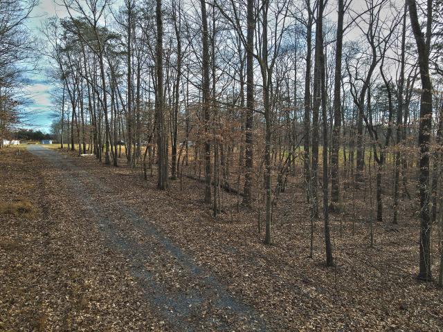 Land for sale in Russell Springs, Kentucky