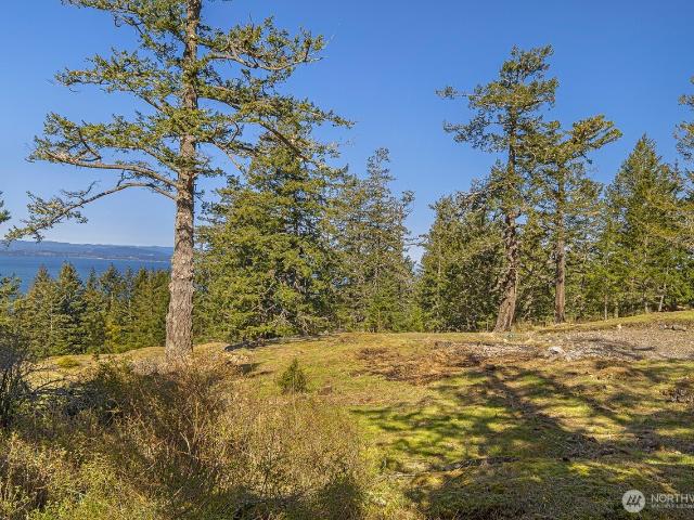 Land for sale in Friday Harbor, San Juan County