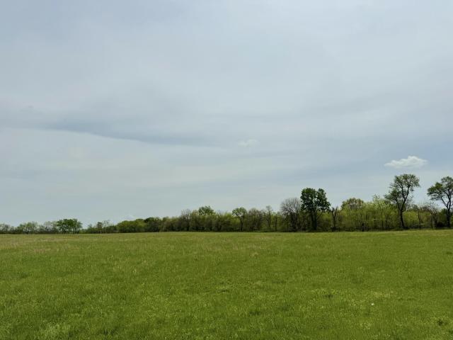 Land for sale in Carthage