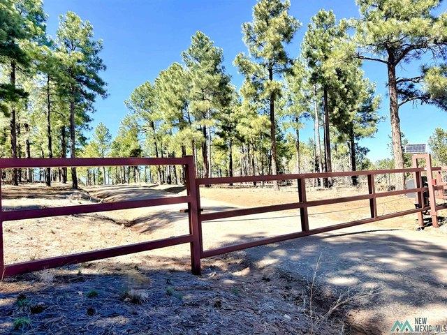 Land for sale in Placitas, New Mexico