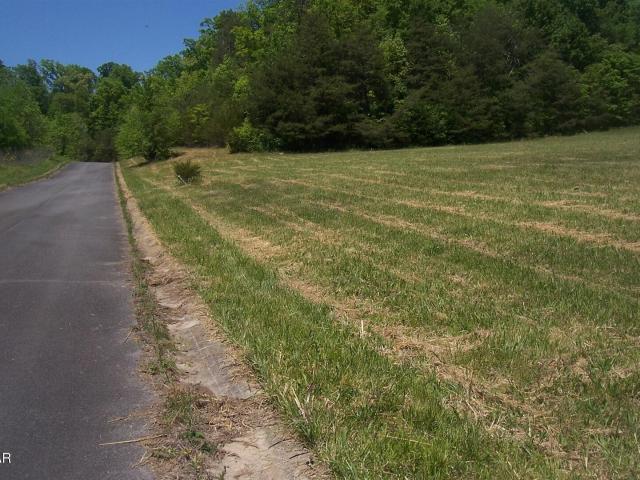 Land for sale in Tennessee