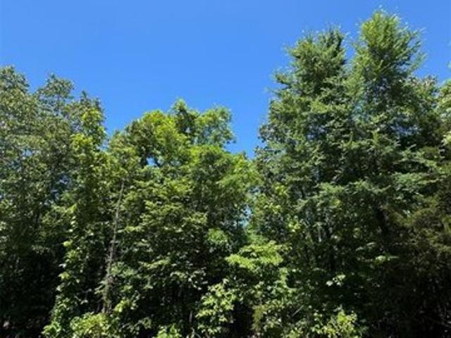 Land for sale in Oklahoma