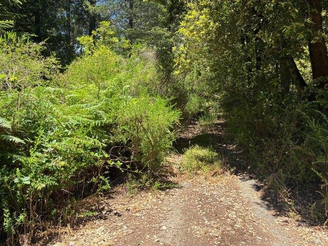 Land for sale in Cazadero, California