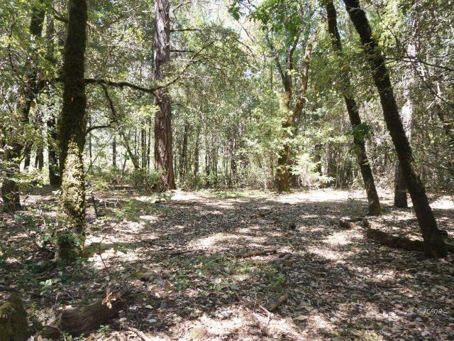 Land for sale in Burnt Ranch, California