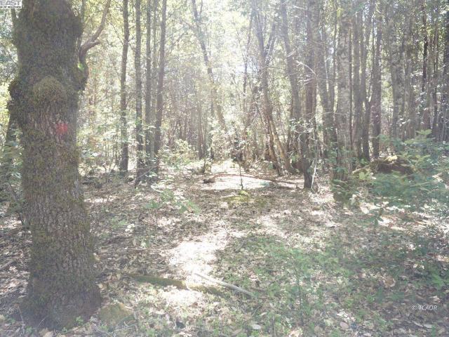Land for sale in Burnt Ranch, California