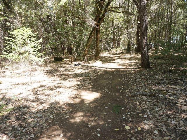 Land for sale in Burnt Ranch, California