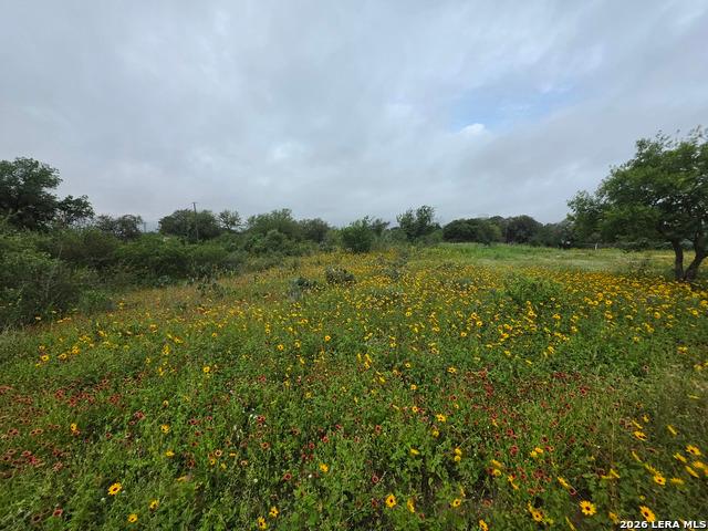 Land for sale in Atascosa, Texas