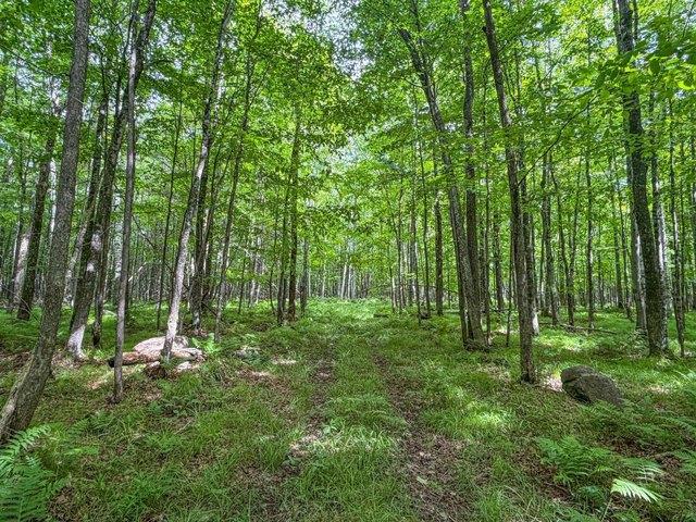Land for sale in Phillips, Wisconsin
