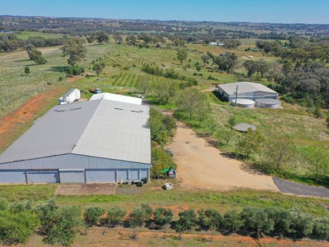 Cottage for sale in Maimuru, New South Wales