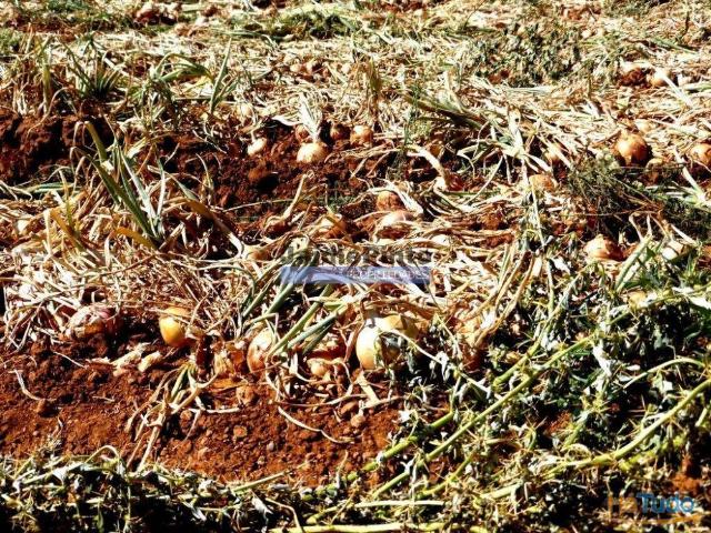 Quinta venda em Guarda, Figueira De Castelo Rodrigo