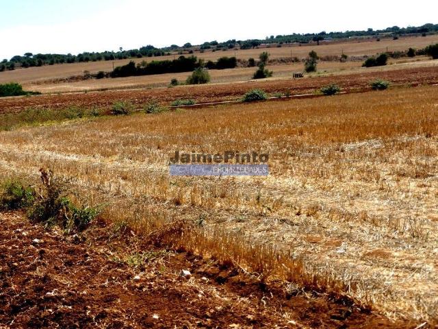 Quinta venda em Guarda, Figueira De Castelo Rodrigo