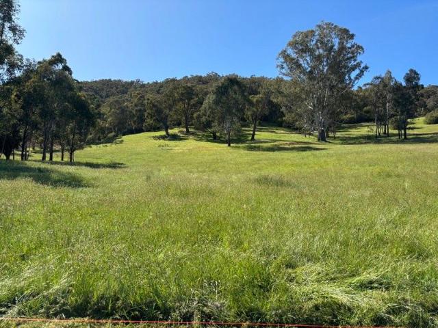 Land for sale in Myrtleford, Victoria