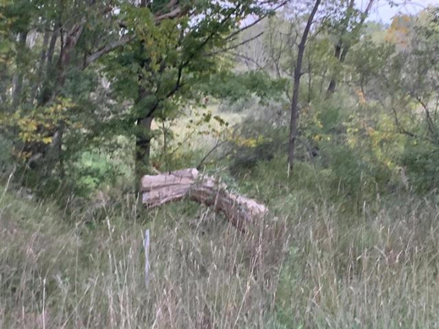 Land for sale in Remus, Michigan