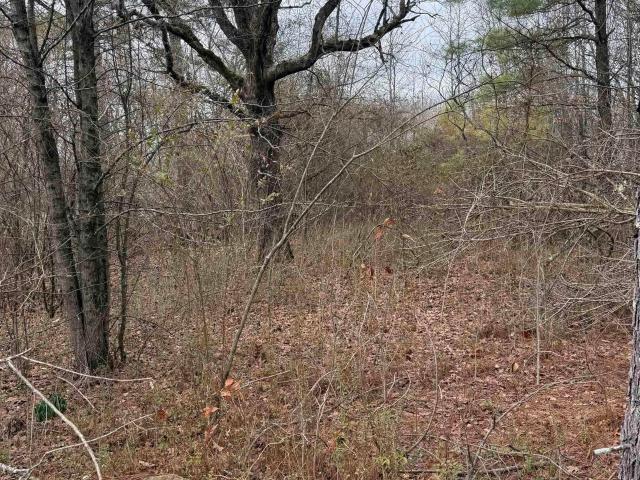 Land for sale in Ark