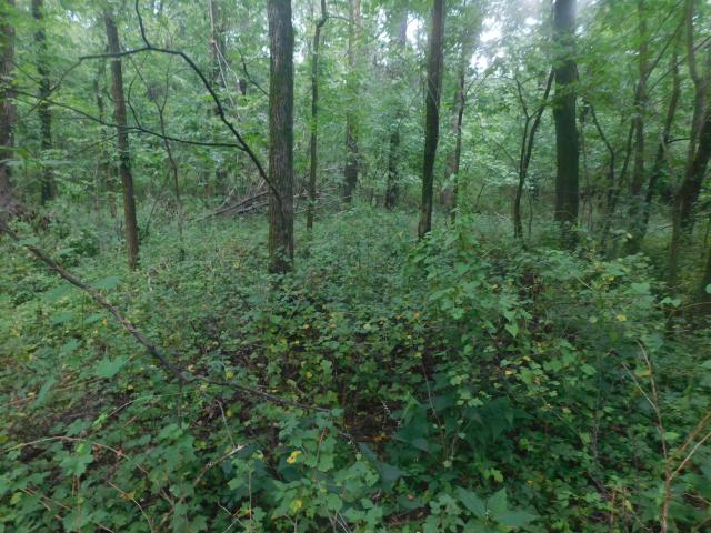 Farm for sale in Moberly, Missouri