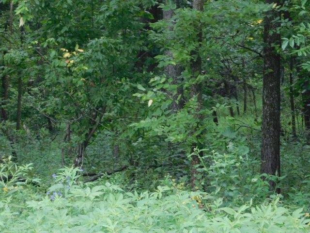 Farm for sale in Moberly, Missouri