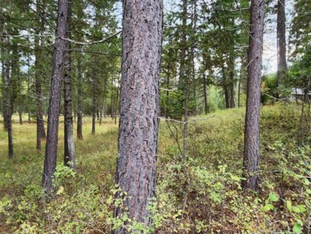 Land for sale in Libby, Montana