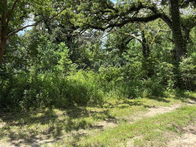 Land for sale in Lufkin
