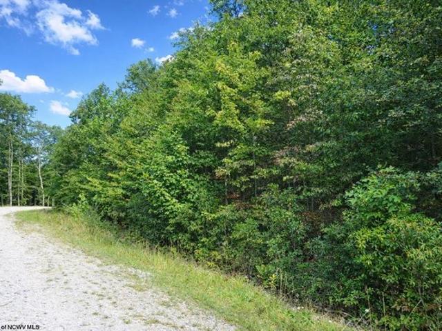 Farm for sale in Belington, West Virginia