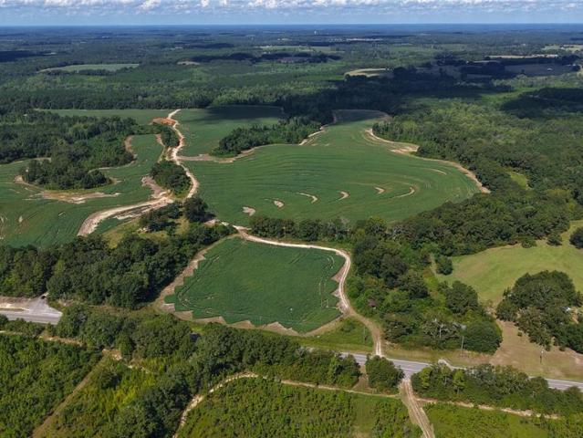 Land for sale in Opp, Alabama