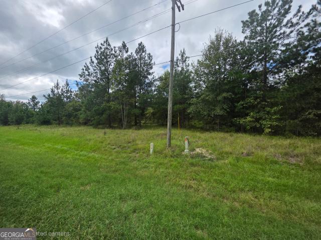 Land for sale in Pine Forest, Baxley