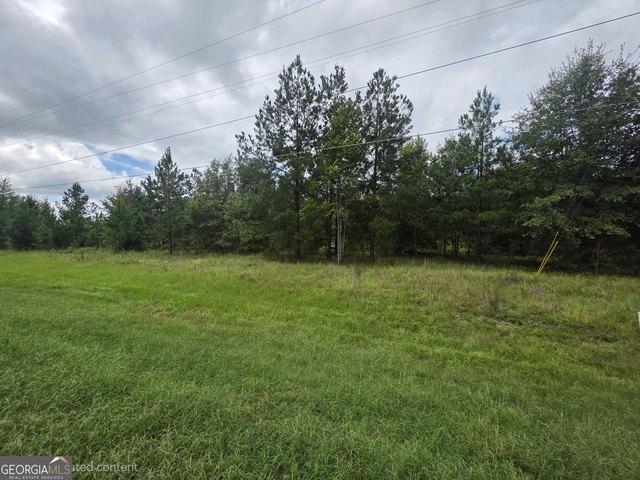 Land for sale in Pine Forest, Baxley