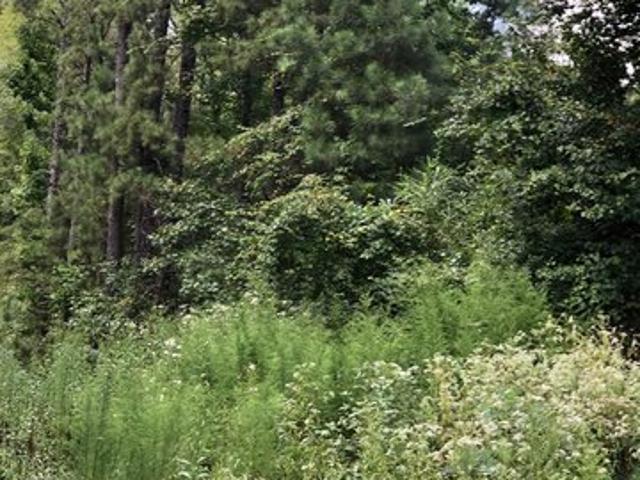 Land for sale in Buford, Georgia