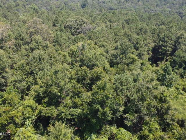 Land for sale in Carriere, Mississippi