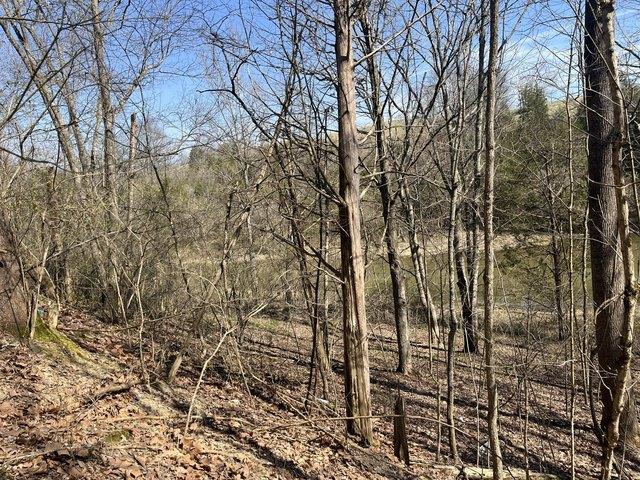Land for sale in Owenton, Kentucky