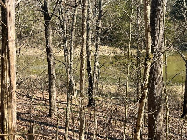 Land for sale in Owenton, Kentucky