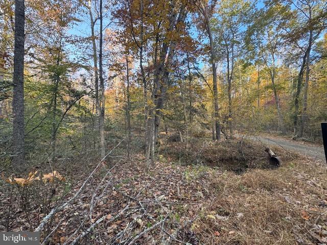 Land for sale in Virginia