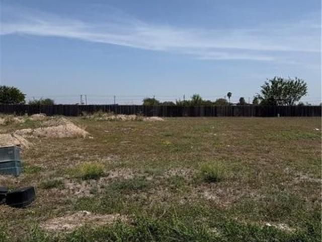 Land for sale in Hidalgo, Hidalgo County