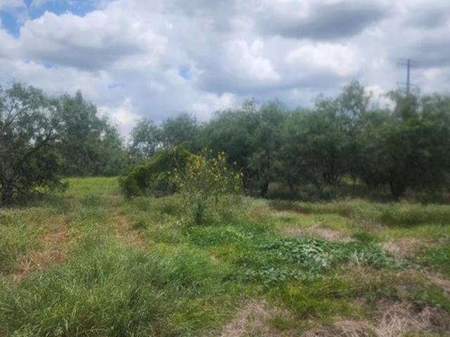 Land for sale in Cameron, Texas