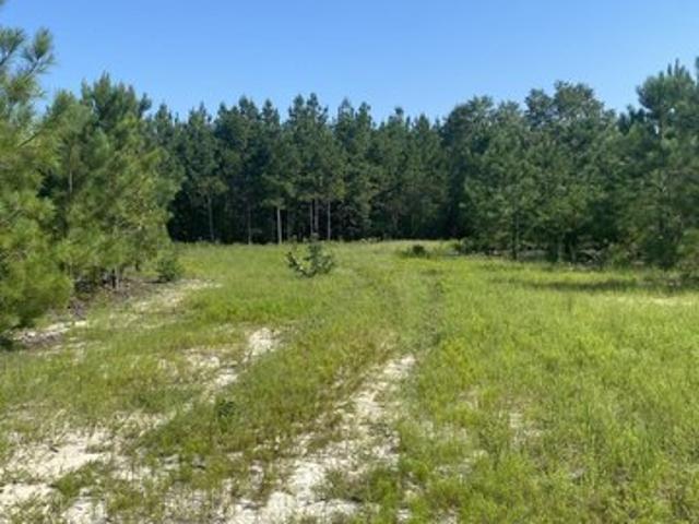 Land for sale in Bethune, South Carolina