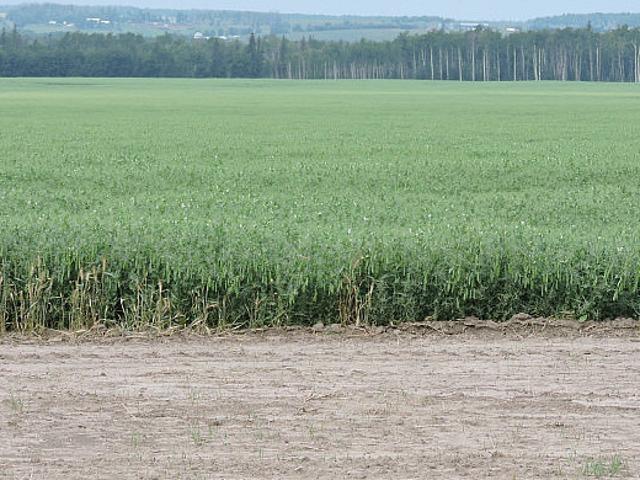 Land for sale in Westlock, Alberta