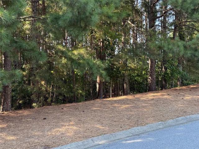 Land for sale in Suwanee, Georgia