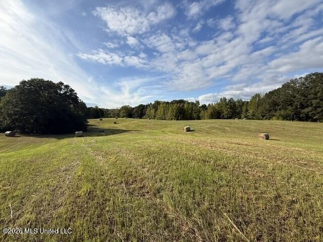 Land for sale in Como, Panola County