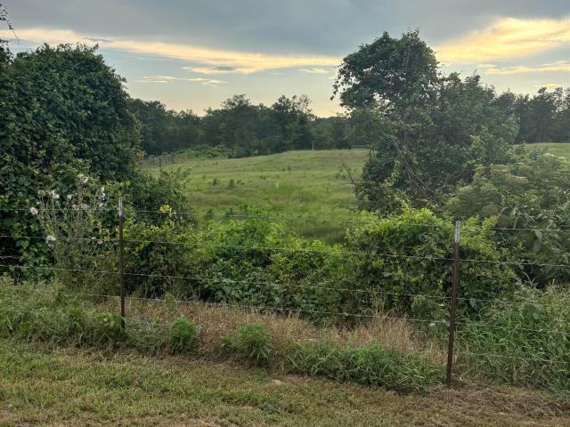 Commercial for sale in Ark