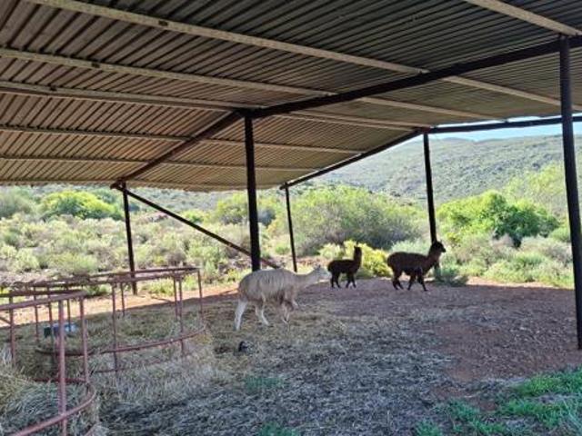 Land for sale in Bergsig, Durbanville